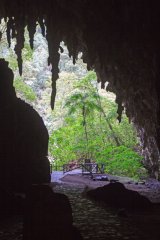 04-Inside the Cueva del Guacharo